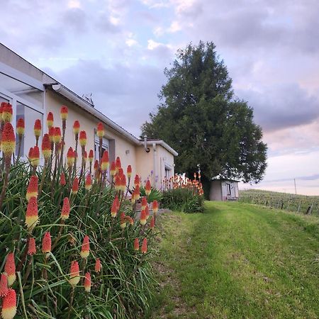 Apartamento L’échappée Bulles Épernay Exterior foto